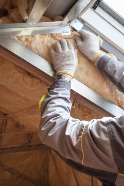 Best Eco-Friendly Insulation in Anthem, AZ