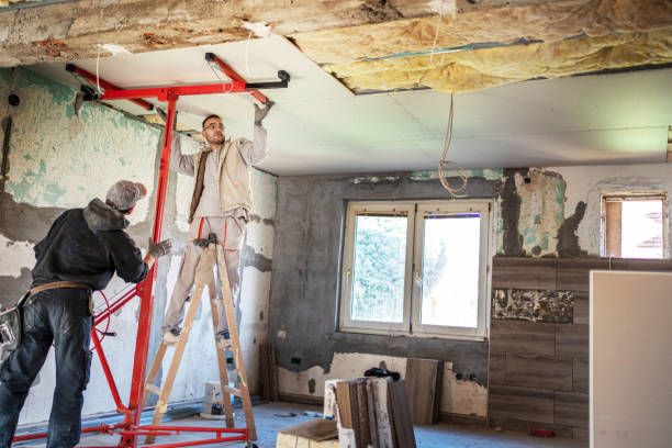 Best Cellulose Insulation in Anthem, AZ